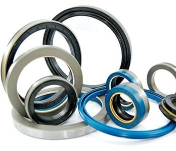 Oil Seals